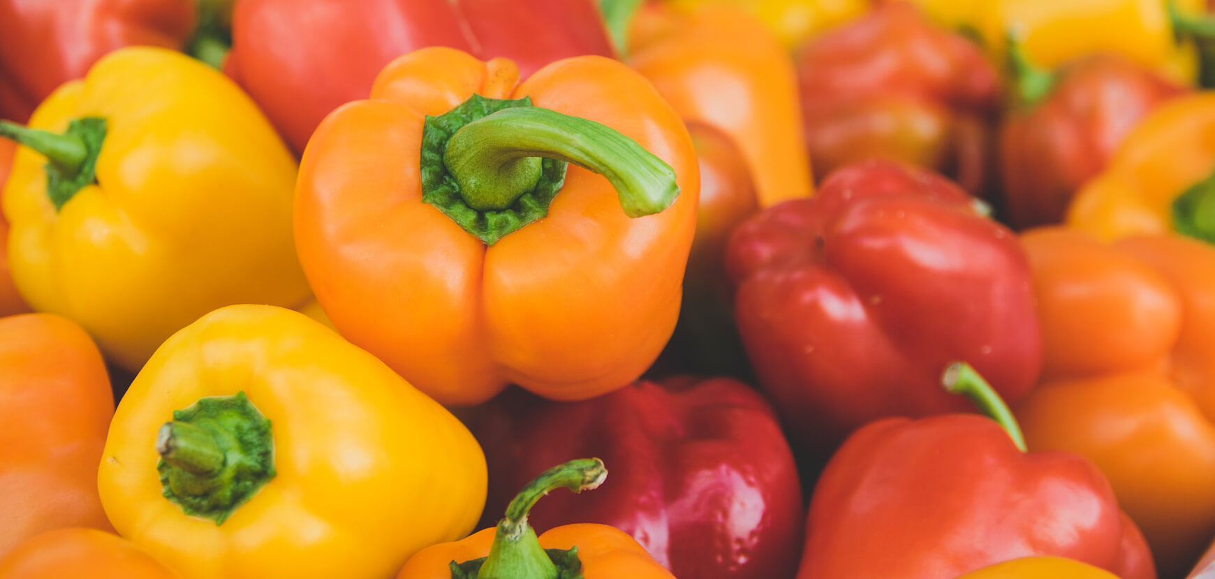 WP REST APIでの記事の取得と表示[PHP版 / JS版]