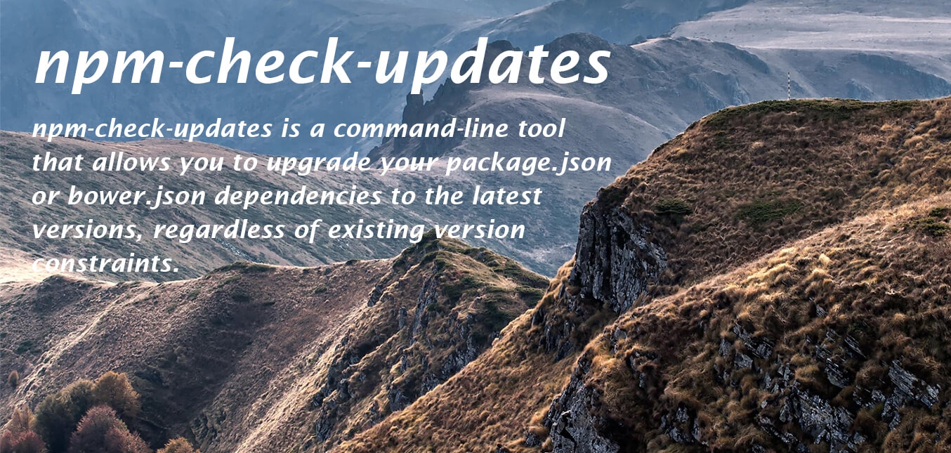 npm-check-updatesでpackage.jsonを初めて更新したときのやり方
